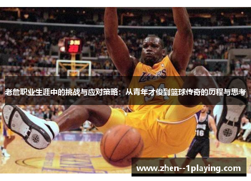 老詹职业生涯中的挑战与应对策略:从青年才俊到篮球传奇的历程与思考 老詹职业生涯中的挑战与应对策略:从青年才俊到篮球传奇的历程与思考